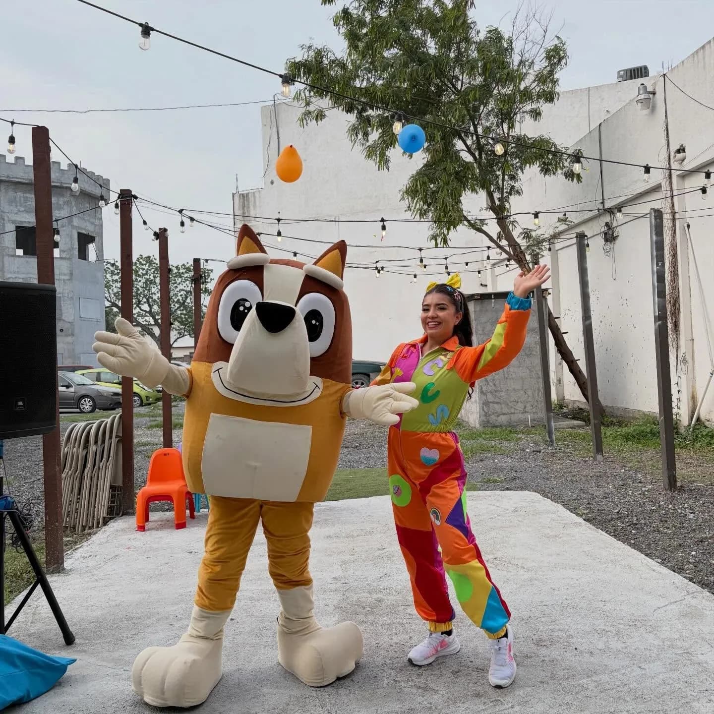 Animadora